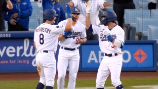 Washington Nationals v Los Angeles Dodgers