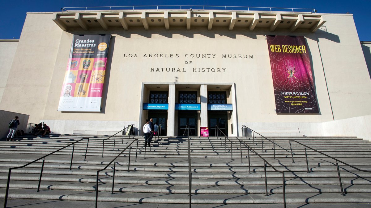 Natural History Museum Lacma Reopen Nbc Los Angeles