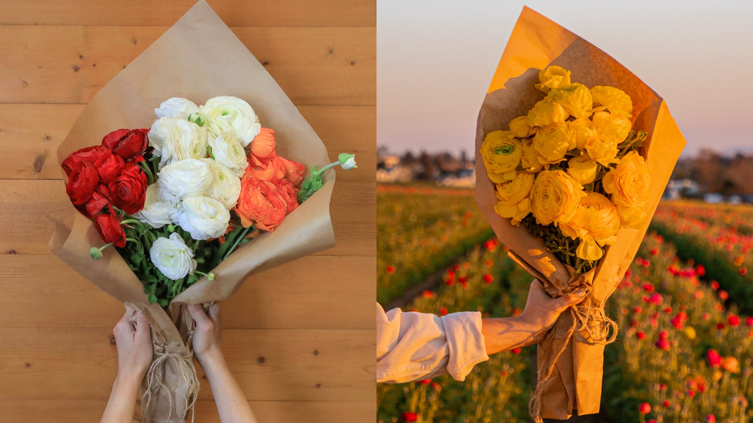 Enjoy The Flower Fields wherever you are, thanks to bright, ranunculus-filled bouquets - Vimarsana News
