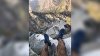 Missing Hiker Found After Man Using Computer at Home Pinpoints His Location