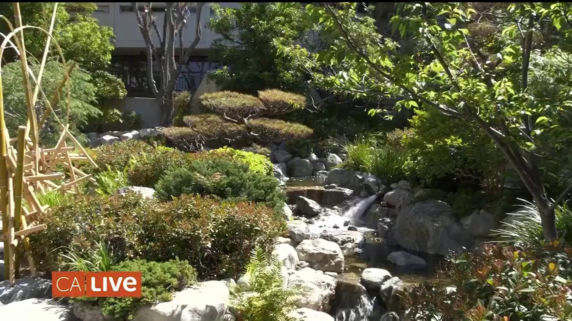 Visit La S Little Tokyo Nbc Los Angeles Visit La S Little Tokyo Nbc Los Angeles