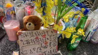 Hawaii Police Shooting