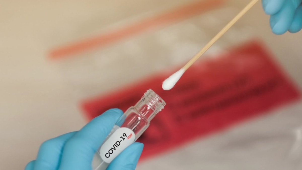 How Accurate Are At-Home COVID Tests? Here's What Experts Say - Vimarsana News