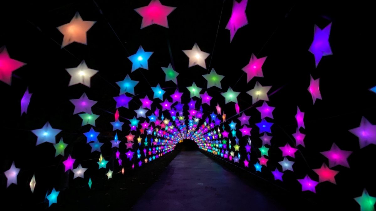 Holiday Lights Will Twinkle at LA Arboretum NBC Los Angeles