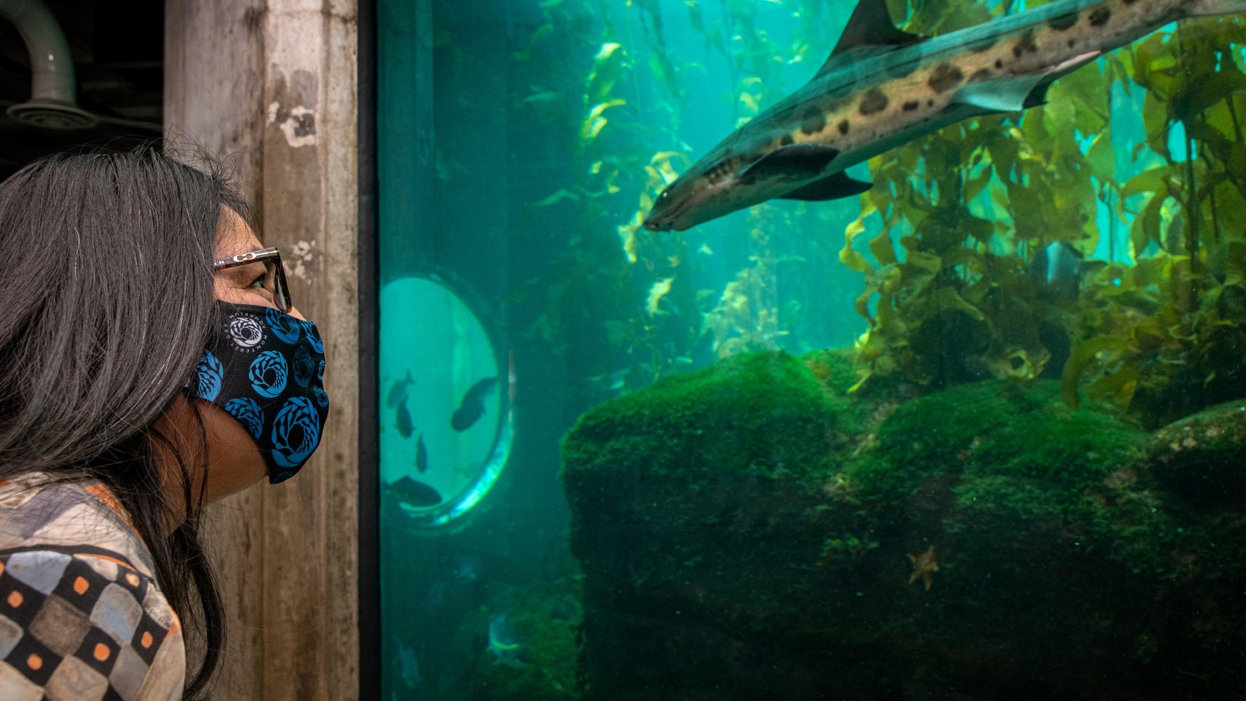 Monterey Bay Aquarium Is Launching Its Reservations - Mbamayreopen