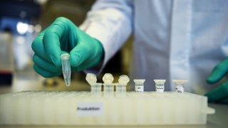 An employee of German biopharmaceutical company CureVac, demonstrates research on a vaccine for the coronavirus (COVID-19) disease at a laboratory in Tuebingen, Germany, March 12, 2020.