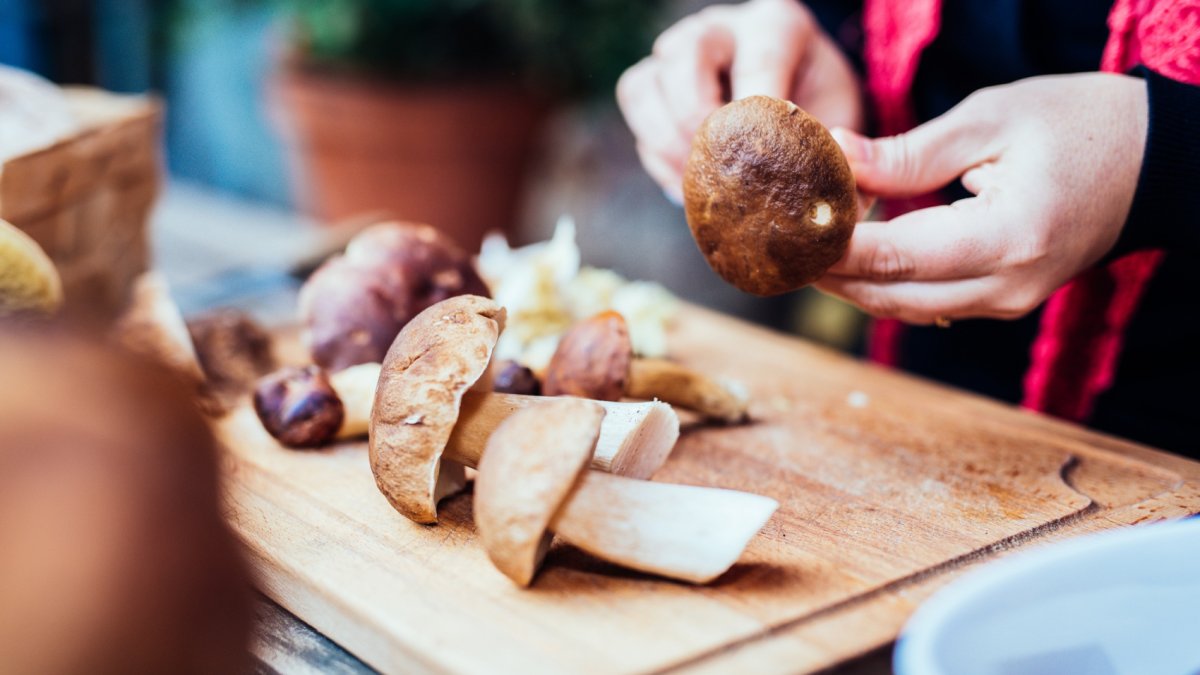 Truffles, fungi, forest walks, and mushroom talks: Flavorful fests sprout in January - Vimarsana News