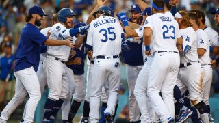 Chicago Cubs v Los Angeles Dodgers