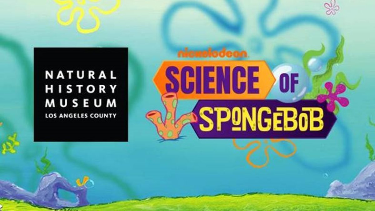 SpongeBob Science Makes Waves at the Natural History Museum – NBC Los ...