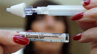 In this Tuesday Feb. 27, 2012 photo, Kathy Deady holds up a tube of Naloxone Hydrochloride, also known as Narcan, in her Quincy, Mass., home. Narcan is a nasal spray used as an antidote for opiate drug overdoses. Deady twice had to use the drug on her son, who was suffering from an overdose of heroin. The drug counteracts the effects of heroin, OxyContin and other powerful painkillers and has been routinely used by ambulance crews and emergency rooms in the U.S. and other countries for decades.