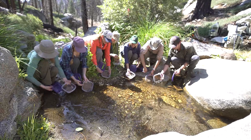 A crowd of scientists in hiking gear hold tupperware containers full of live frogs above the water in the San Jacinto woods.