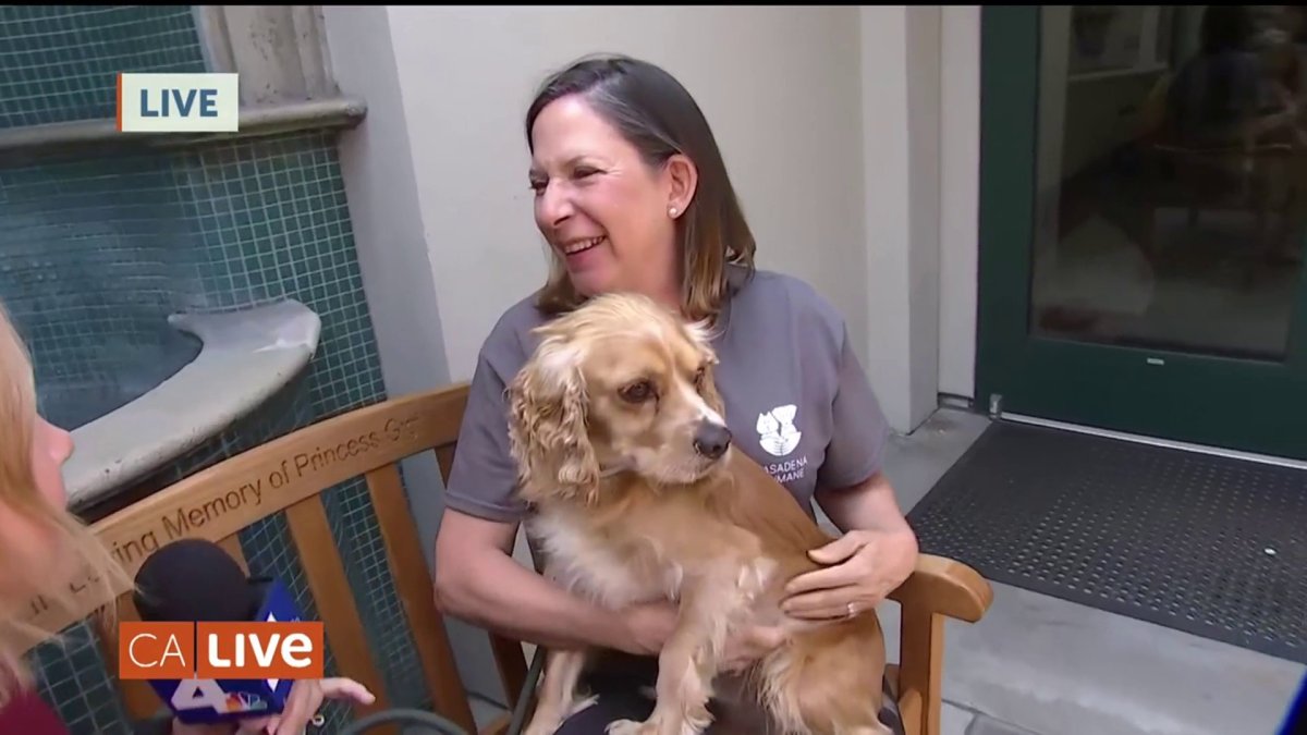 NBC Clear The Shelters NBC Los Angeles