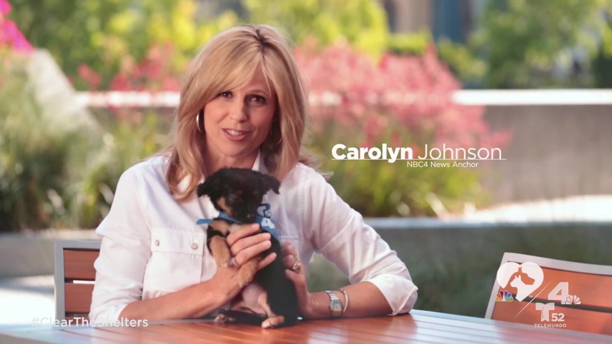 NBC4 Clear the Shelters With Anchors Michael Brownlee and Carolyn