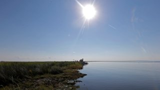 the shoreline of Bay Jimmy