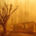 Dixie fire in Greenville, California