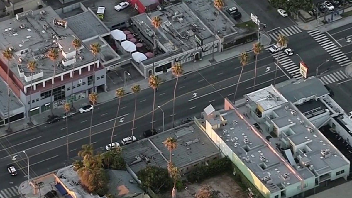 Pedestrian Killed in Santa Monica Hit-and-Run Crash – NBC Los Angeles