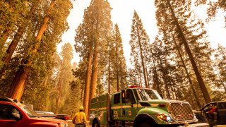 A fire engine drives past sequoia trees in Lost Grove as the KNP Complex Fire burns about 15 miles away on Friday, Sept. 17, 2021, in Sequoia National Park, Calif.
