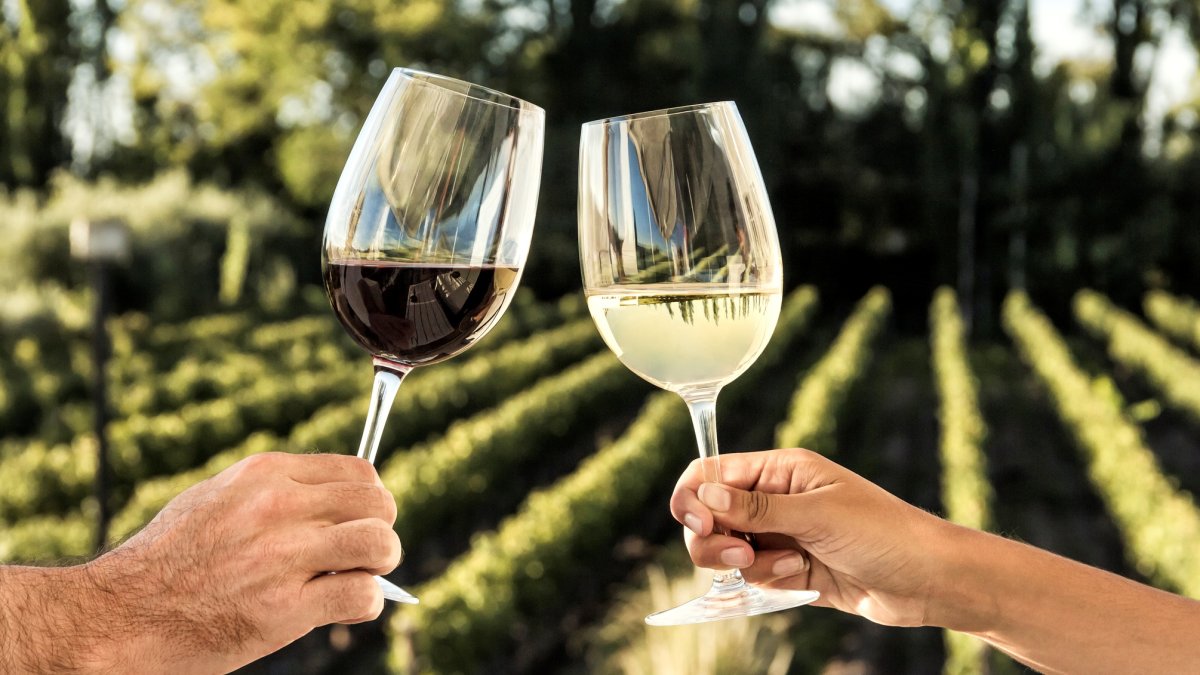 Cheers to California Wine Month – NBC Los Angeles Cheers to California Wine Month – NBC Los Angeles