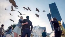 LA BREA -- "Pilot" Episode 101 -- Pictured in this screen grab: Birds -- (Photo by: NBC)