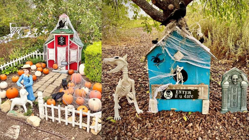 A SoCal Garden’s Wee Haunted Houses Add October Charm – NBC Los Angeles A SoCal Garden’s Wee Haunted Houses Add October Charm – NBC Los Angeles