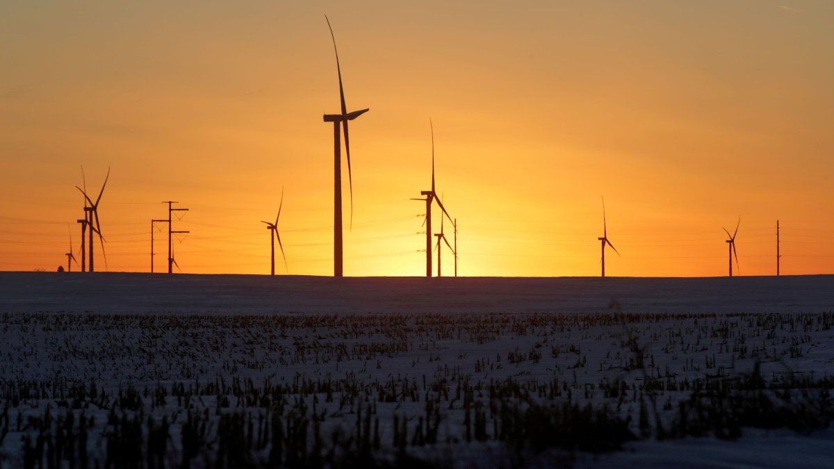 Many of 2021's Record ETF Launches Are ESG-Related, But It May Not Move the Needle Enough, CEO Warns - Vimarsana News
