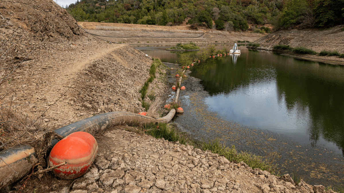 Climate Change Makes Drought Recovery Tougher – NBC Los Angeles - Vimarsana News
