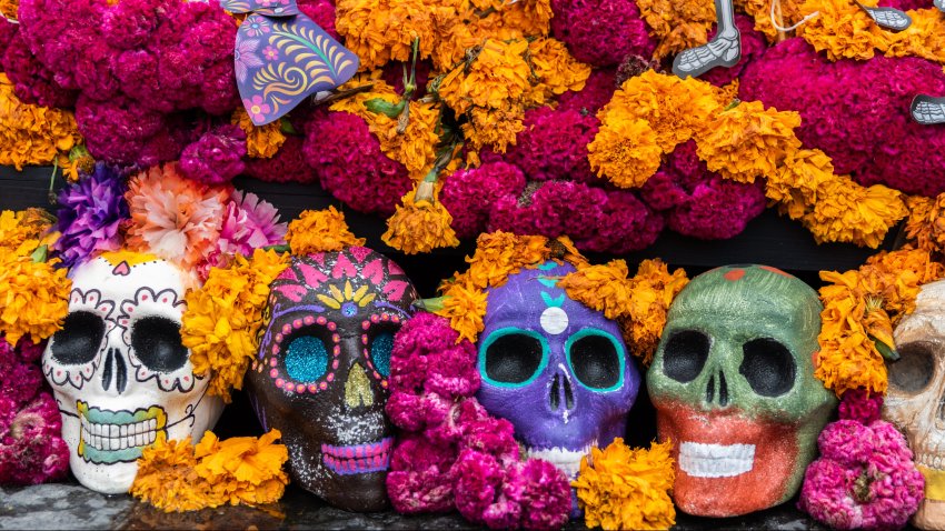 Aztec Marigold flowers - or cempasúchil - and skulls in Day of the Dead celebrations altar decorations - Mexico City, Mexico