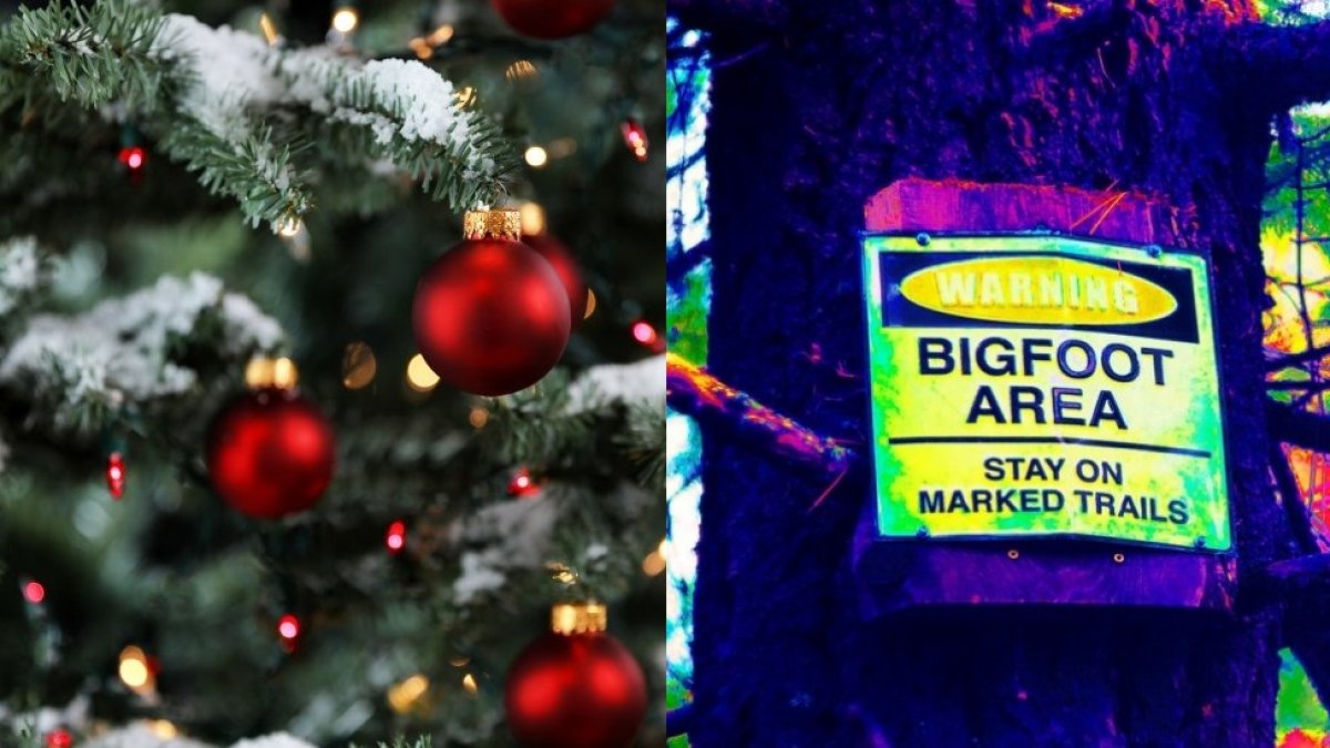 A Parade of Bigfoots Will Lead the U.S. Capitol Christmas Tree NBC