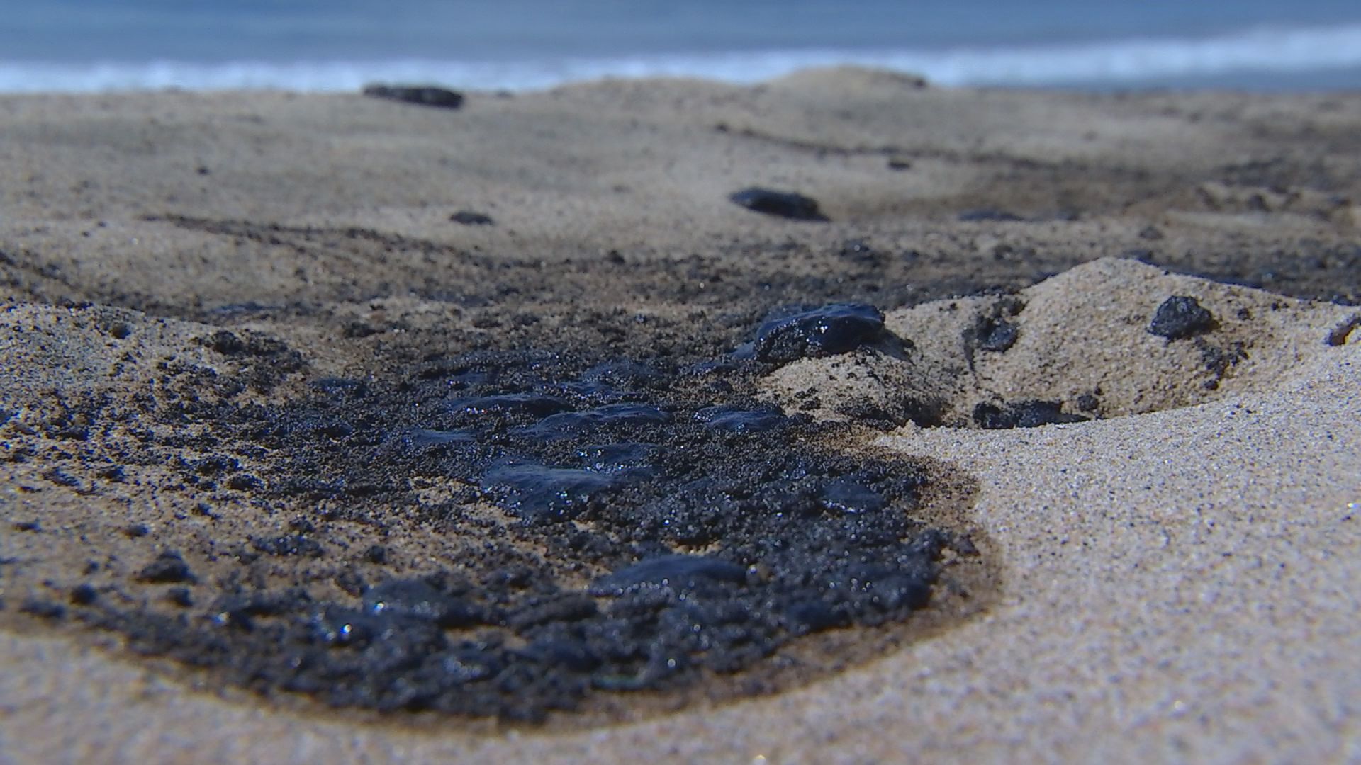 PHOTOS Huntington Beach Oil Spill Causes Ecologic Damage NBC Los Angeles