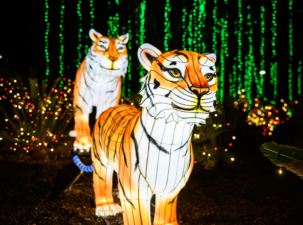 Sparkle Sparkle LA Zoo Lights Tickets Go on Sale NBC Los Angeles