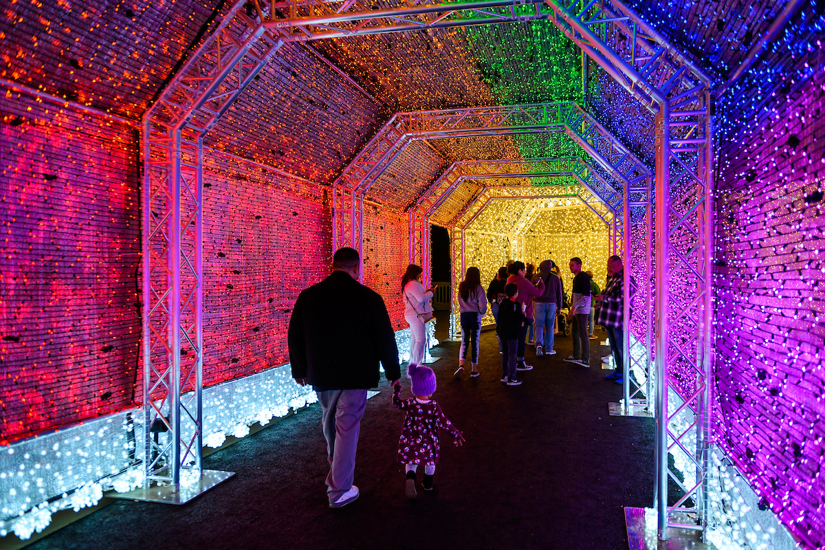 Sparkle Sparkle: LA Zoo Lights Tickets Go on Sale – NBC Los ...