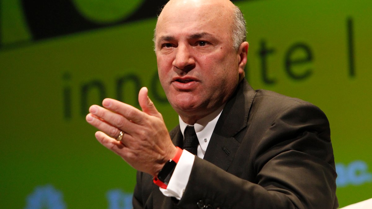 Kevin O'Leary Says He's Put 20% of His Portfolio in Crypto, Including Tokens and Blockchain Firms - Vimarsana News