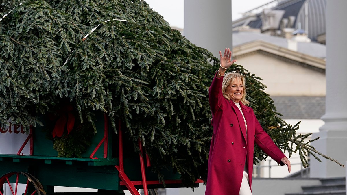 Bidens Open Holidays With Christmas Tree and 'Friendsgiving' – NBC Los Angeles - Vimarsana News