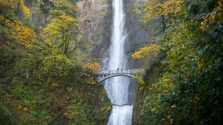 Multnomah Falls Oregon