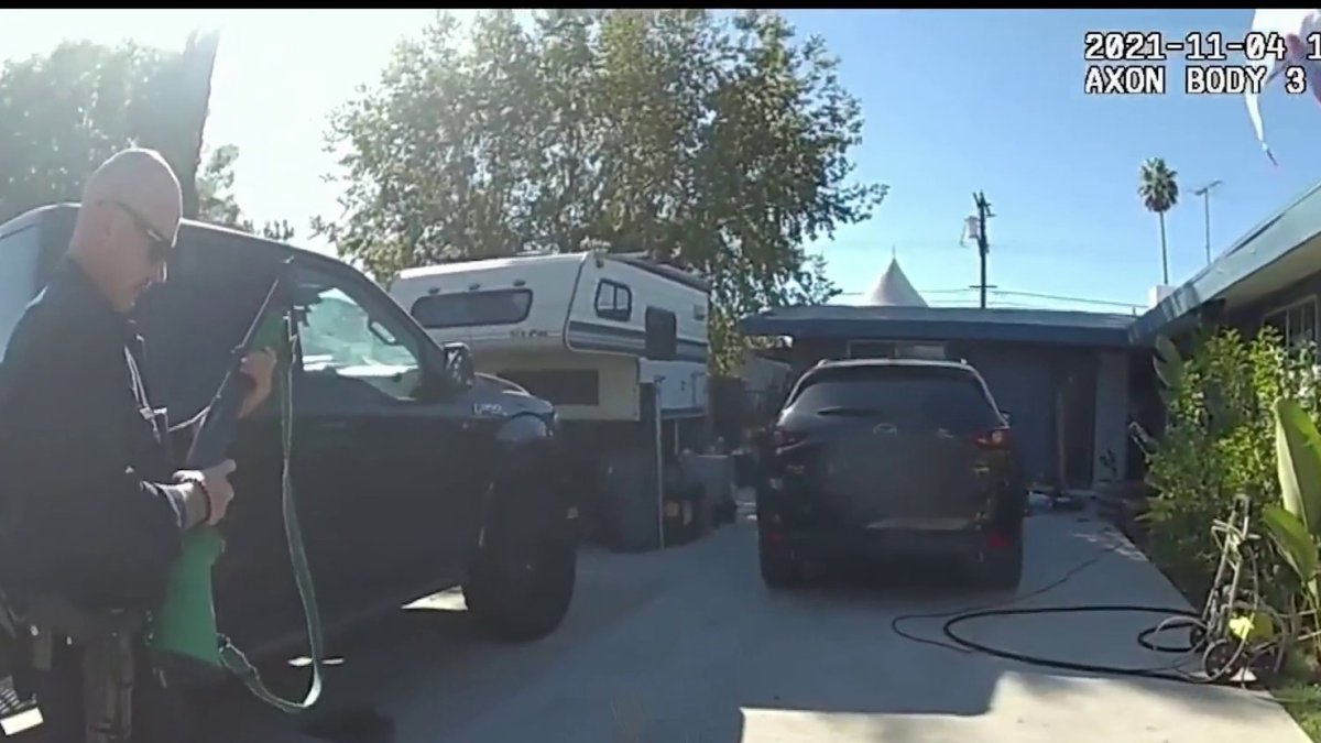LAPD Officers Fire Bean Bag Round at Dog in NBC Los Angeles