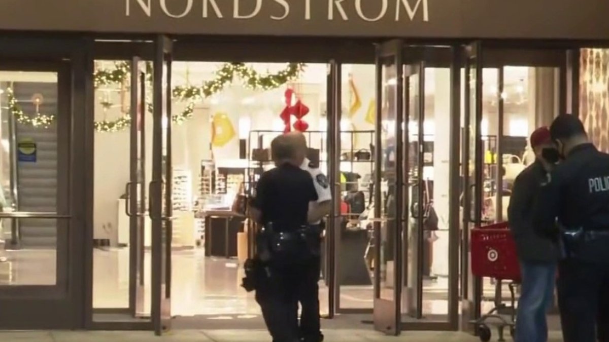 LA luxury mall latest to be hit by smash-and-grab thieves