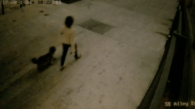 Video Shows Heidi Planck in Downtown LA