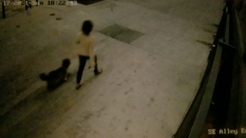 Video Shows Heidi Planck in Downtown LA