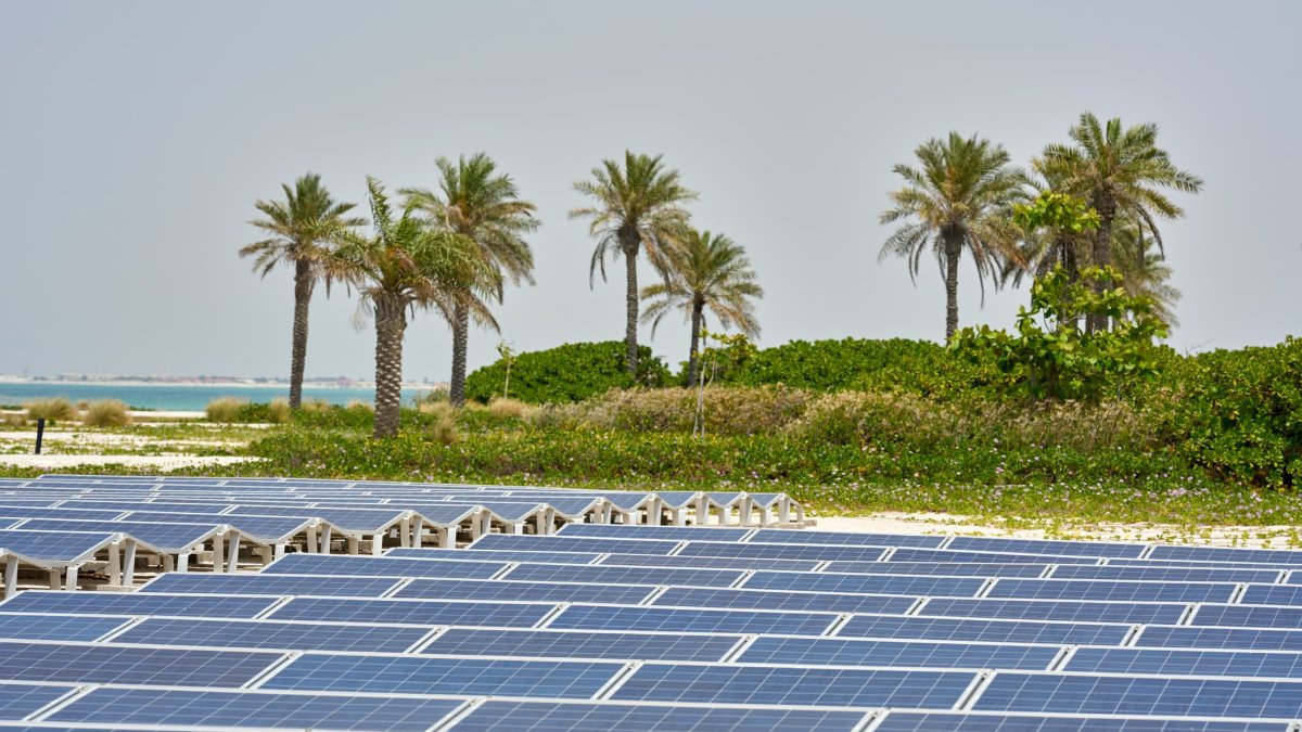 Green Hydrogen Hub Backed by $5 Billion of Investment Planned for the UAE - Vimarsana News