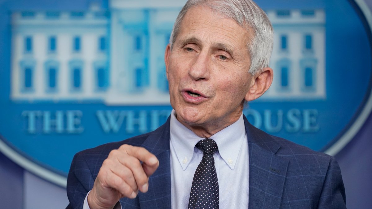 Fauci Says Early Reports Encouraging About Omicron Variant – NBC Los Angeles Fauci Says Early Reports Encouraging About Omicron Variant – NBC Los Angeles