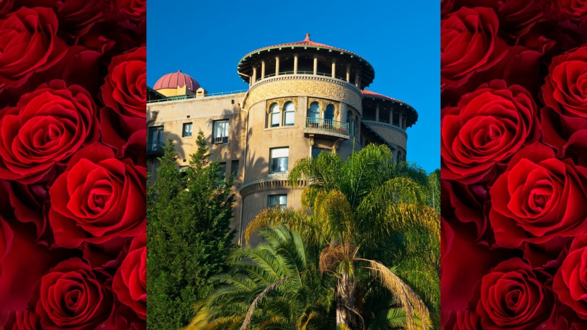 Explore 'New Year's in Pasadena' on a Once-a-Year Tour – NBC Los Angeles - Vimarsana News