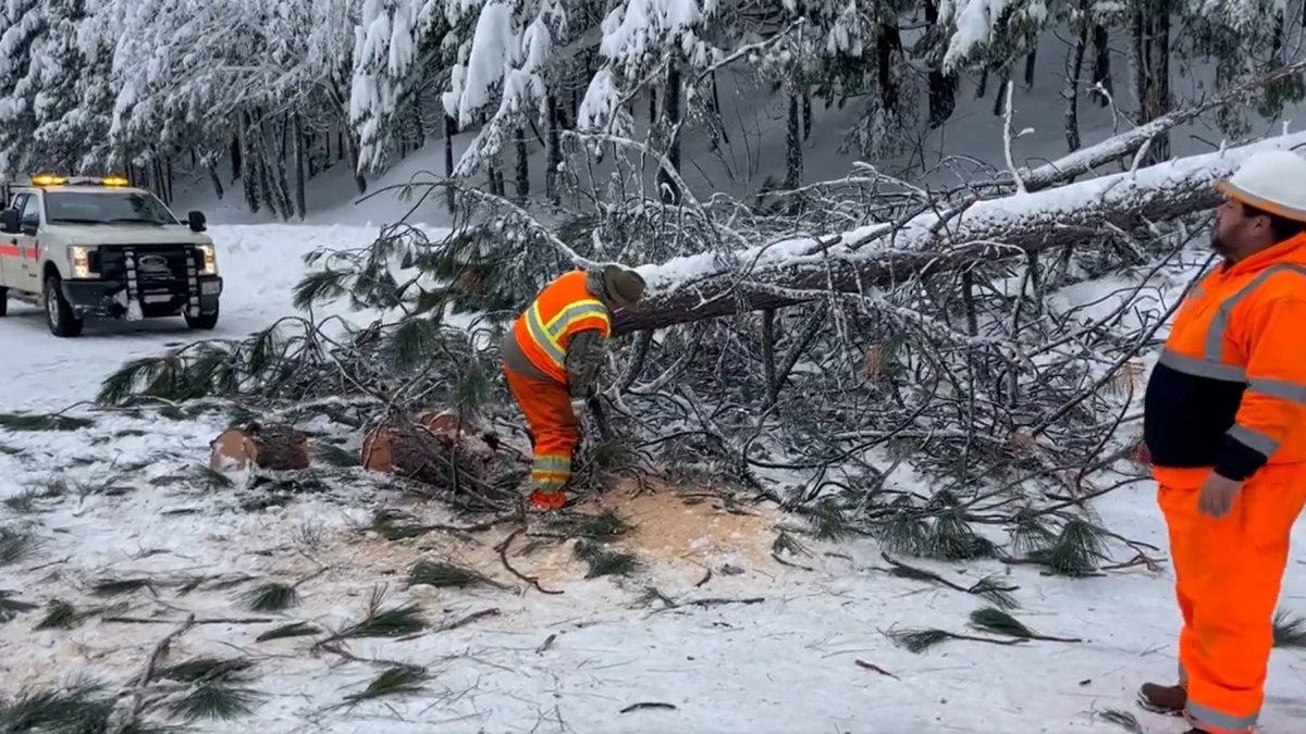 Snowstorms Shut Down Lake Tahoe-Area Highways, Close Ski Resorts – NBC Los Angeles - Vimarsana News