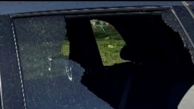 Over 80 Cars and Businesses Targeted in Vandalism Spree