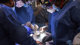 In this photo provided by the University of Maryland School of Medicine, members of the surgical team perform the transplant of a pig heart into patient David Bennett in Baltimore on Friday, Jan. 7, 2022. On Monday, Jan. 10, 2022 the hospital said that he's doing well three days after the highly experimental surgery.
