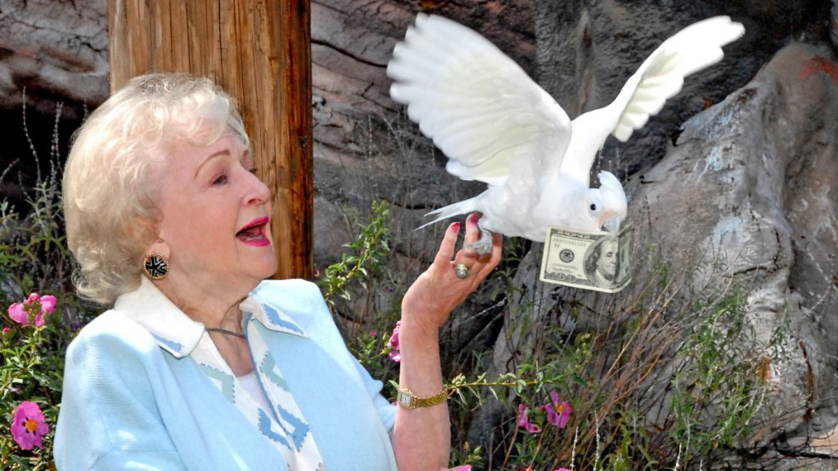 LA Zoo Raises Over 70K as Part of BettyWhiteChallenge NBC Los Angeles(00)