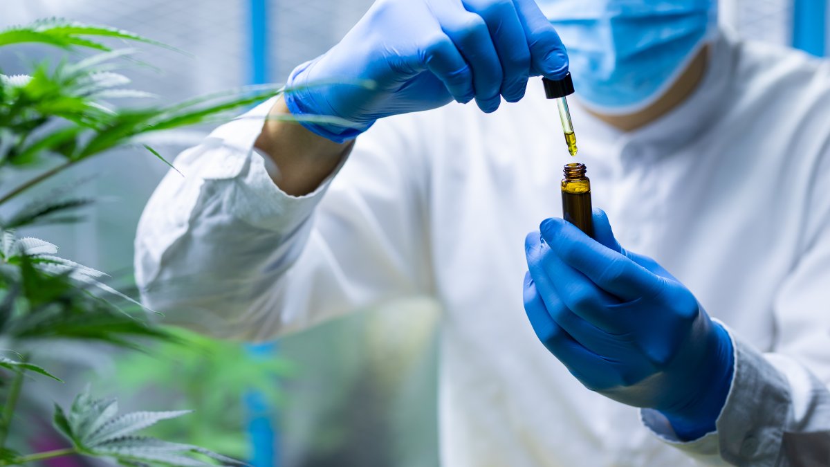 COVID-19 & Cannabis: Study Finds Hemp Compounds Prevent Coronavirus Infection – NBC Los Angeles - Vimarsana News