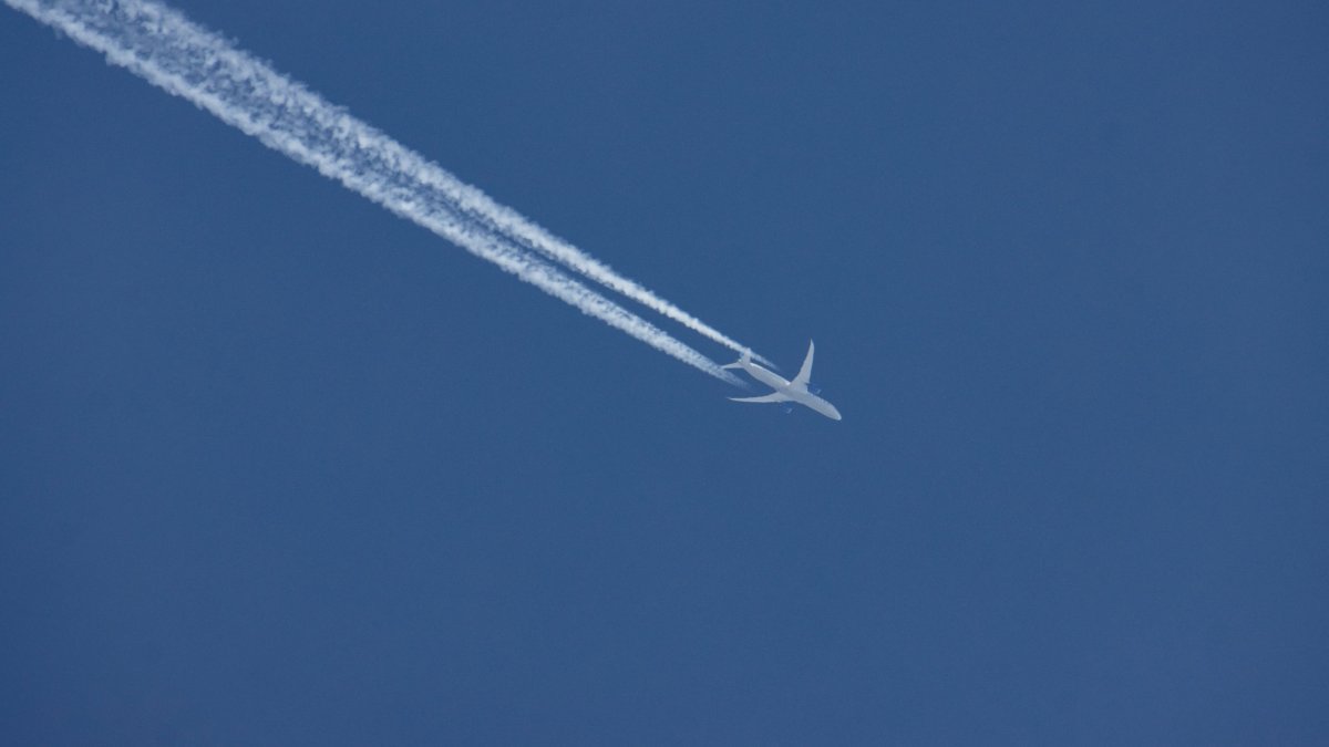 Sustainable Aviation Fuel Costs More But Consumers Will Be Willing to Pay, IATA Chief Says - Vimarsana News