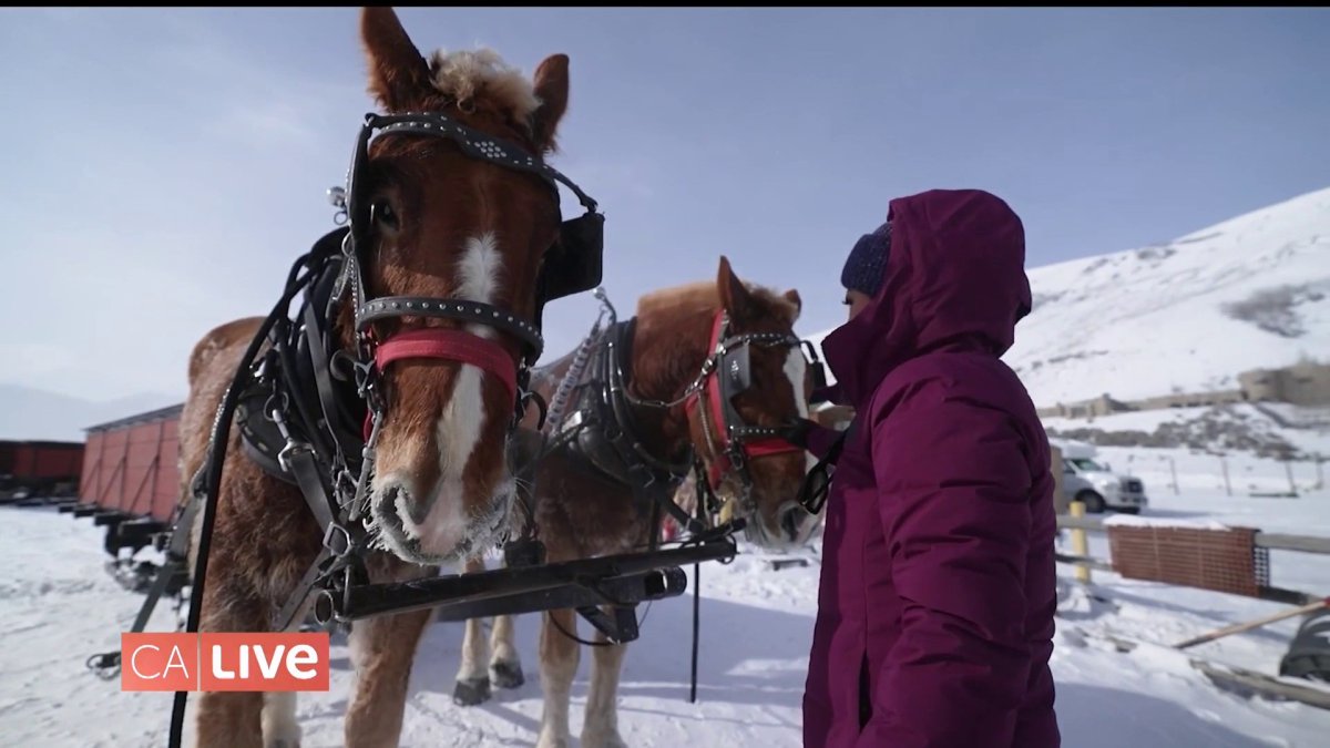 Fly Alaska Air. Next Stop, Jackson Hole. NBC Los Angeles
