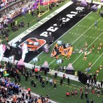 Cincinnati Bengals players arrive on the field