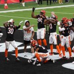 The Cincinnati Bengals celebrate following an interception